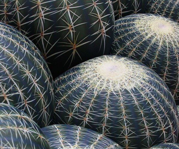 Sofa Canapé Cactus