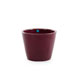 Vaso [a]