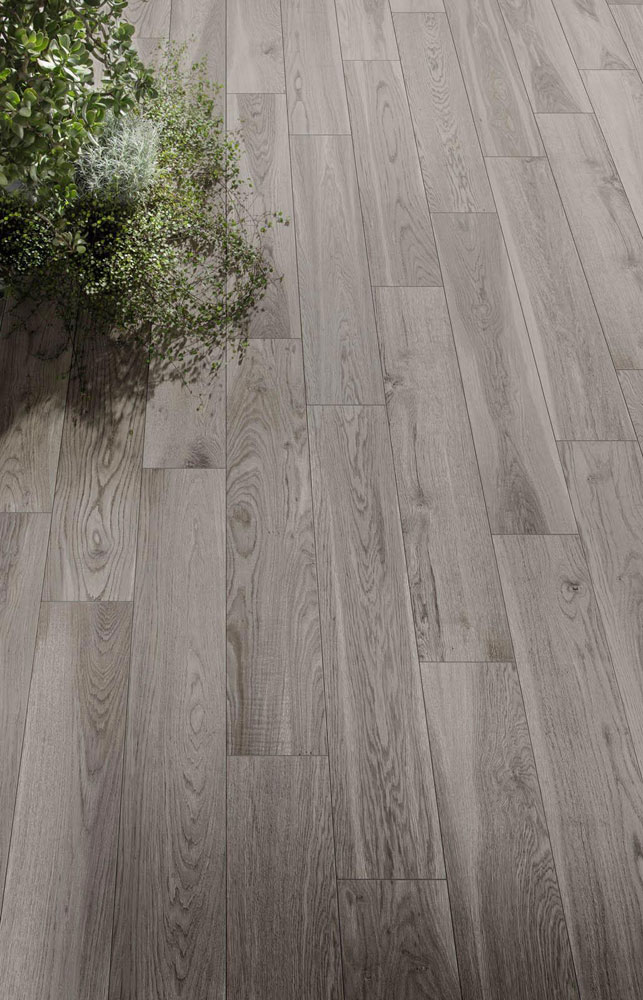 Collezione Treverkmore