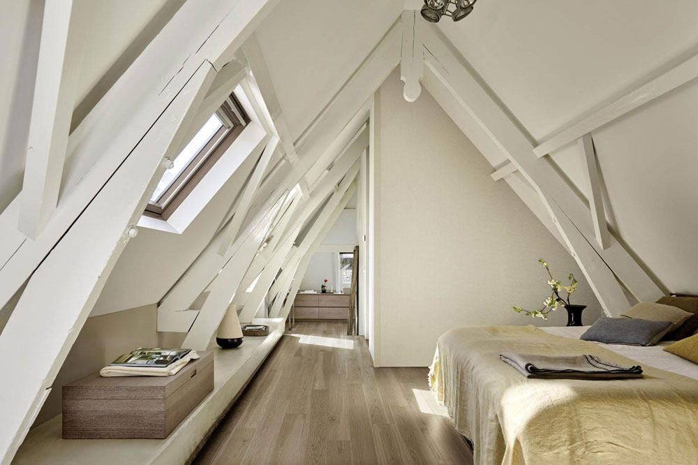 Collezione Treverkmore