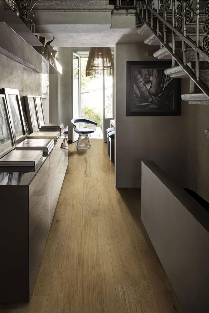 Collezione Treverklife