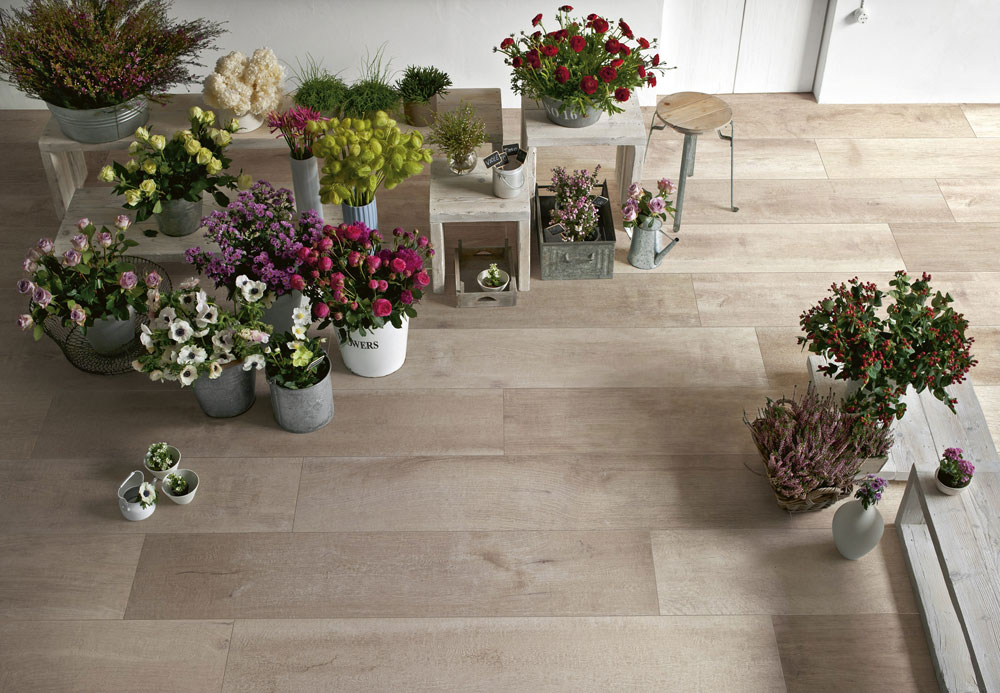 Collezione Woodsense