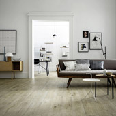 Collezione Treverkever