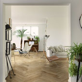 Collezione Woodglam