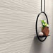 Collezione 3D Wall Plaster