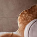 Collezione Terratech