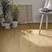 Collezione Treverklook