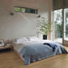 Collezione Treverklook