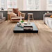 Collezione Treverkmore