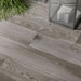 Collezione Treverkmore