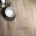 Collezione Treverkmore