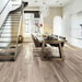 Collezione Treverkmore