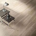 Collezione Treverkmore