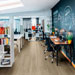 Collezione Treverkview