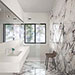 Collezione The Top Solid Color