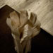 Collezione Treverkhome