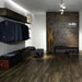 Collezione Treverkchic