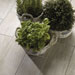 Collezione Treverkmood