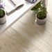 Collezione Treverkway