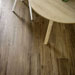 Collezione Treverktrend