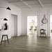 Collezione Treverktrend