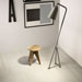 Collezione Treverktrend