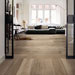 Collezione Treverkmust