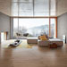 Collezione Treverkmust
