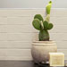 Collezione Chalk