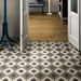 Collezione Treverklife