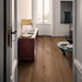 Collezione Treverklife