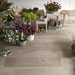 Collezione Woodsense