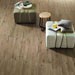 Collezione Woodtale