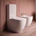 Wc e bidet Faster