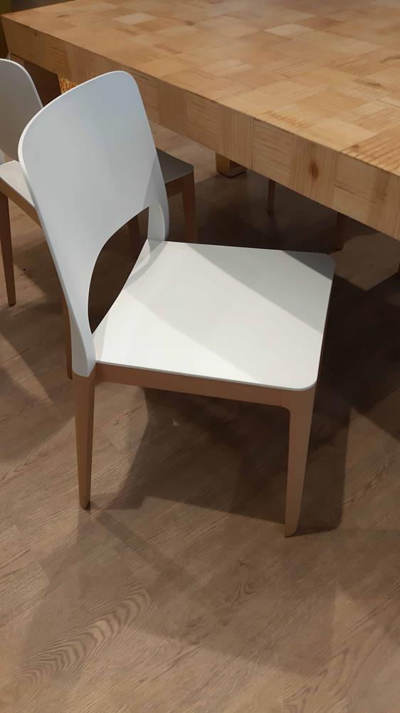 SETTESUSETTE