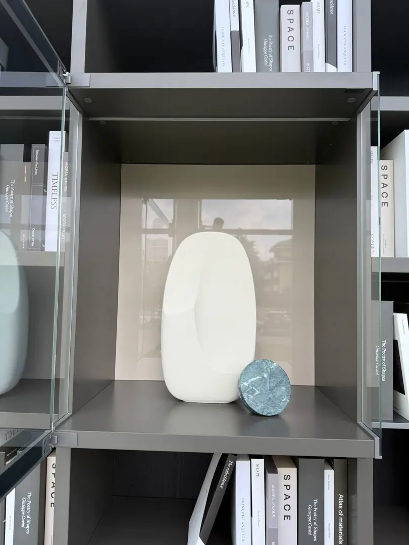 LIBRERIA WALLSYSTEM