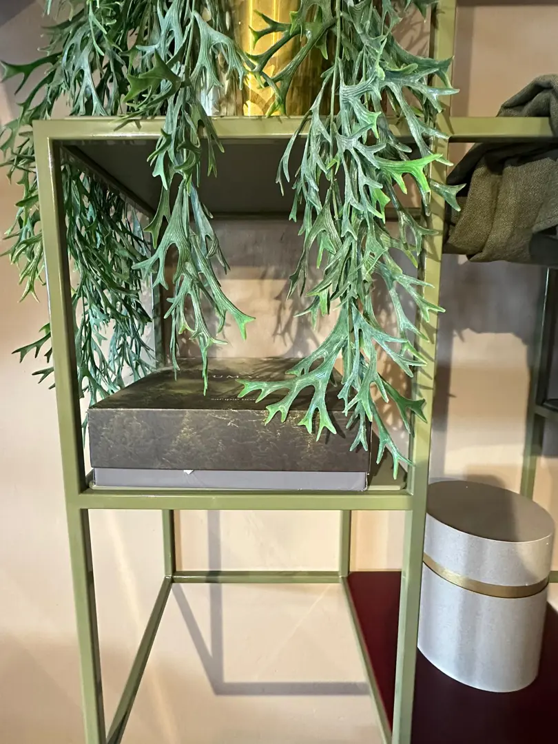 Set Libreria a parete Twils verde e vinaccia