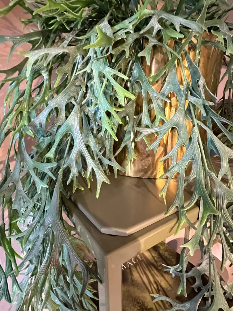 Set Libreria a parete Twils verde e vinaccia