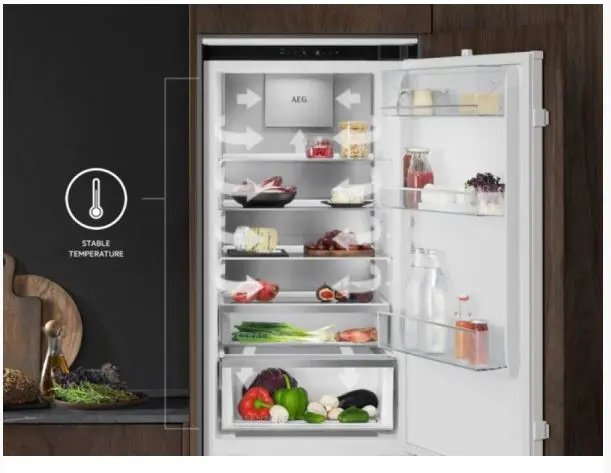 Frigorifero Aeg NSC 8M191 DS