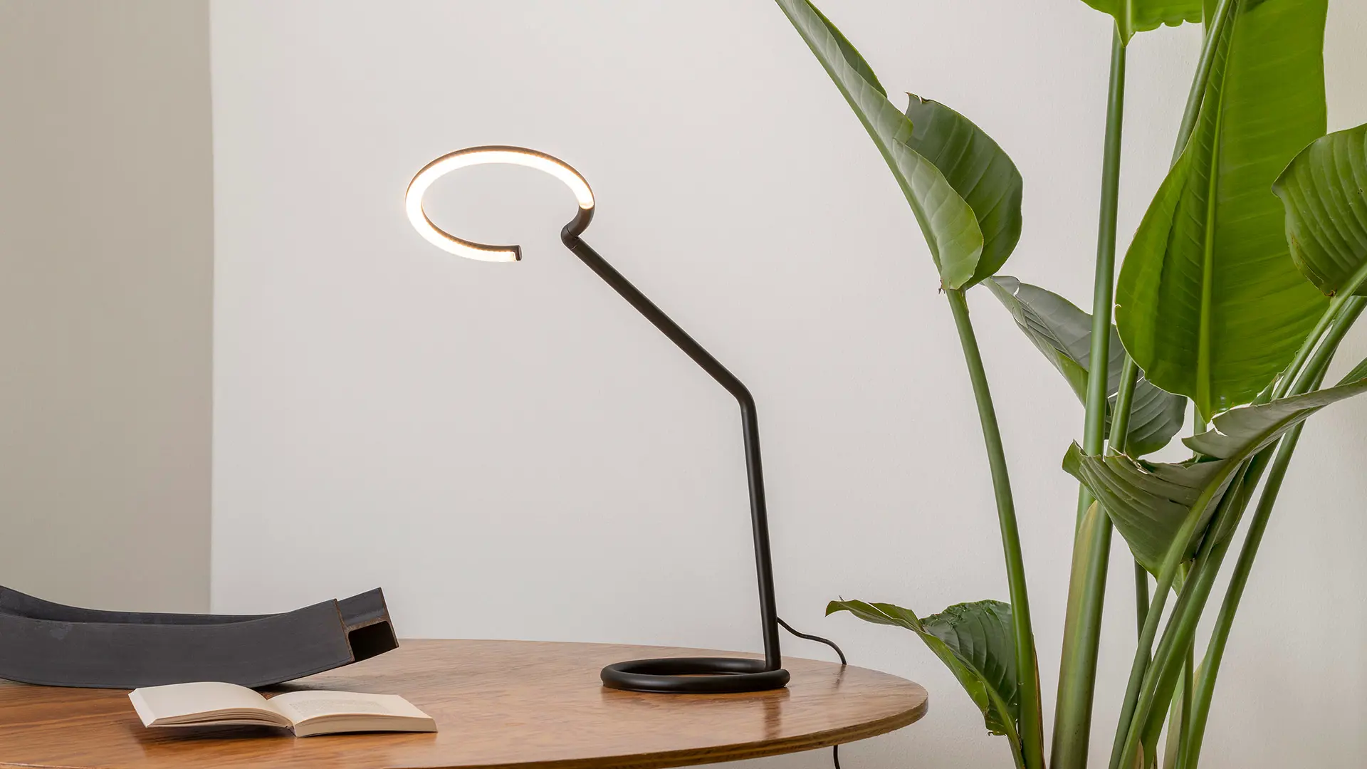 Lampada Vine Light