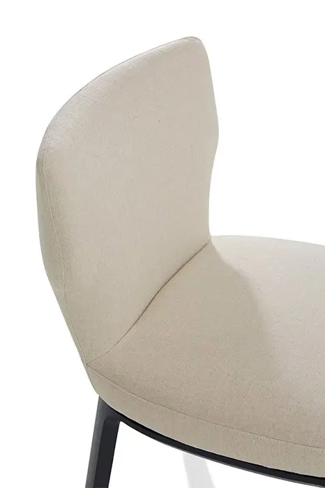 Sedia Ami