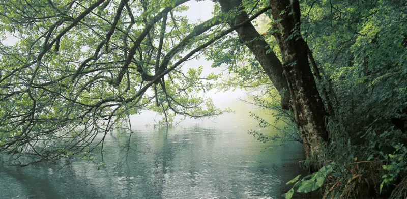 Carta Da Parati Lagoon