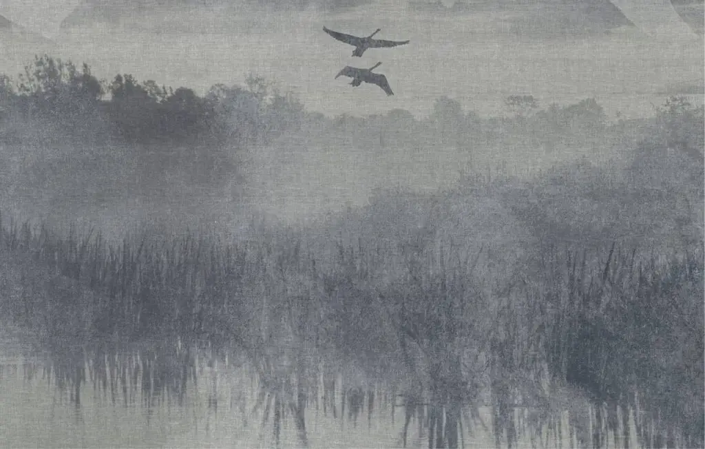 Carta da parati Nebbia