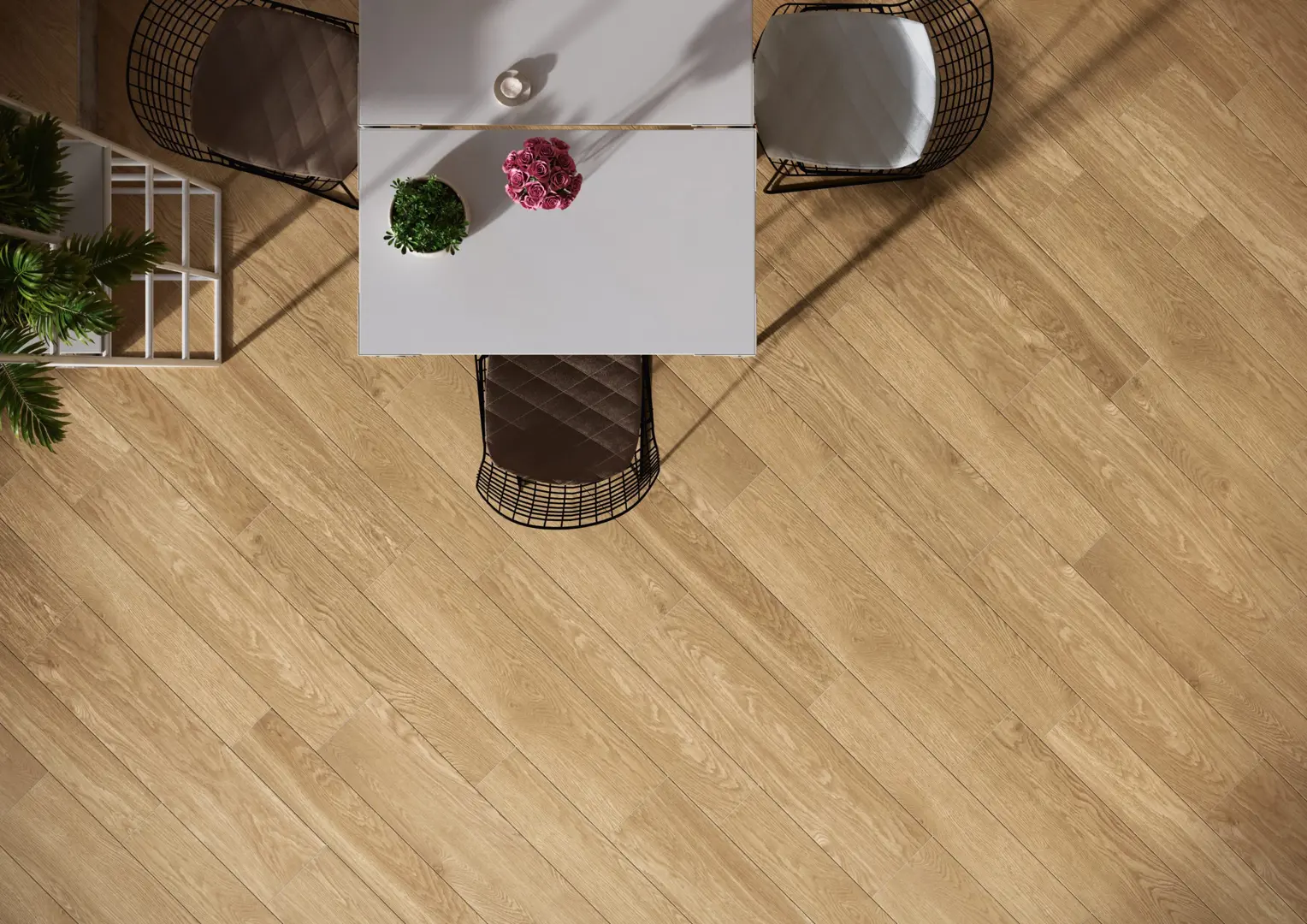 Collezione Rovere