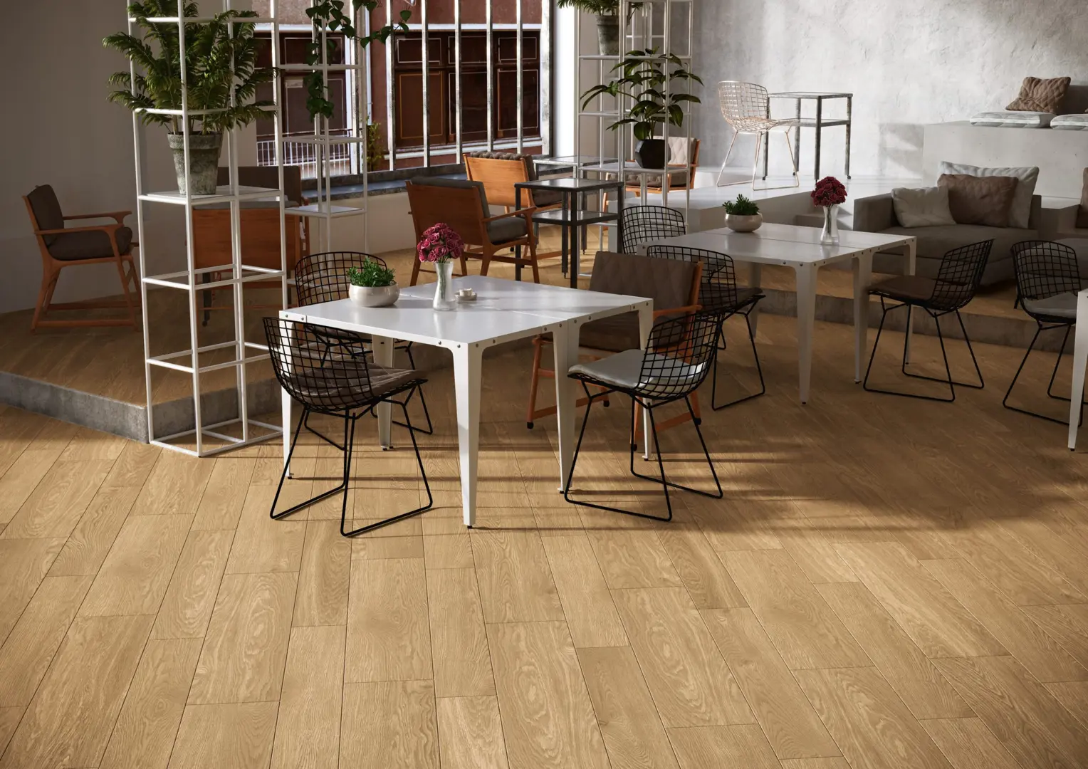 Collezione Rovere