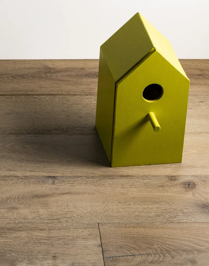 Collezione Tradizione
