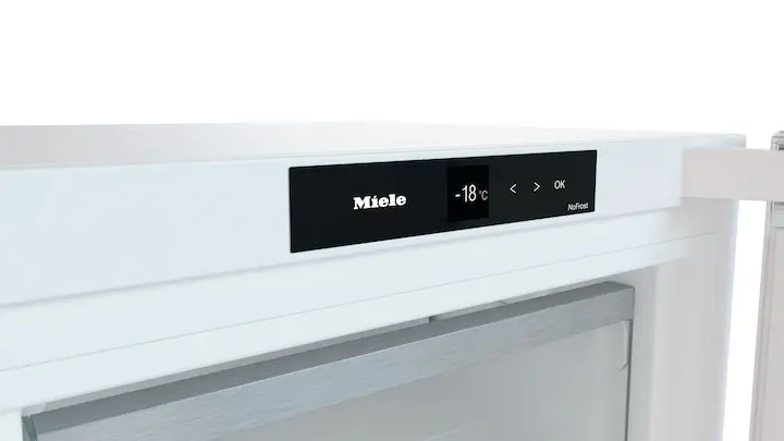 Congelatore FN 4342 E