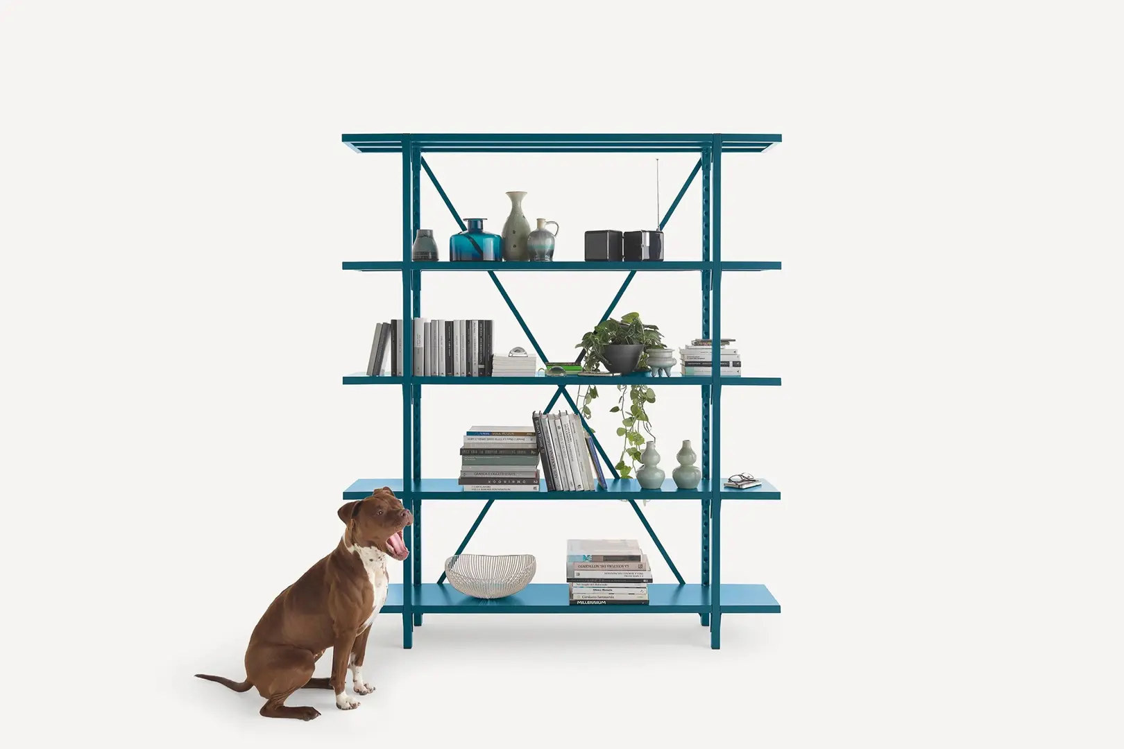 Libreria Uno Living