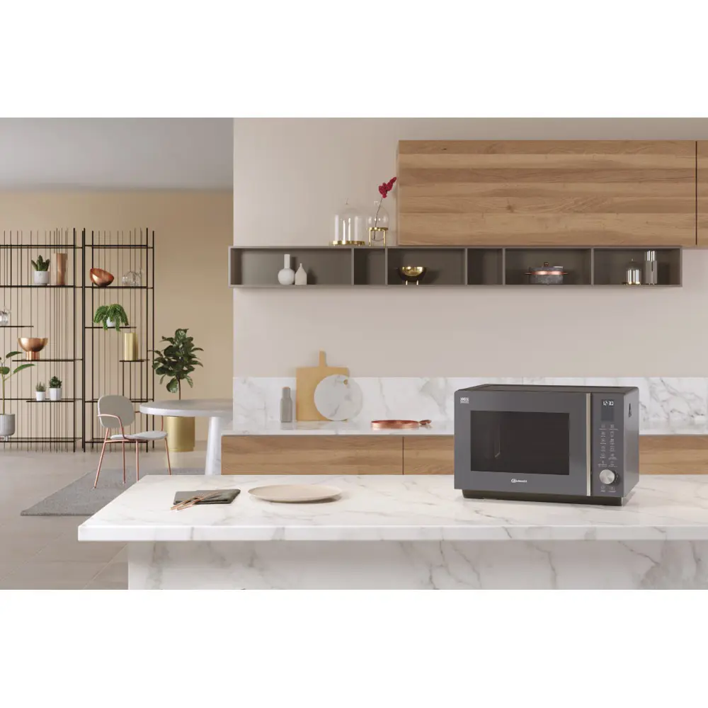 Microwave MF 259 SG CH
