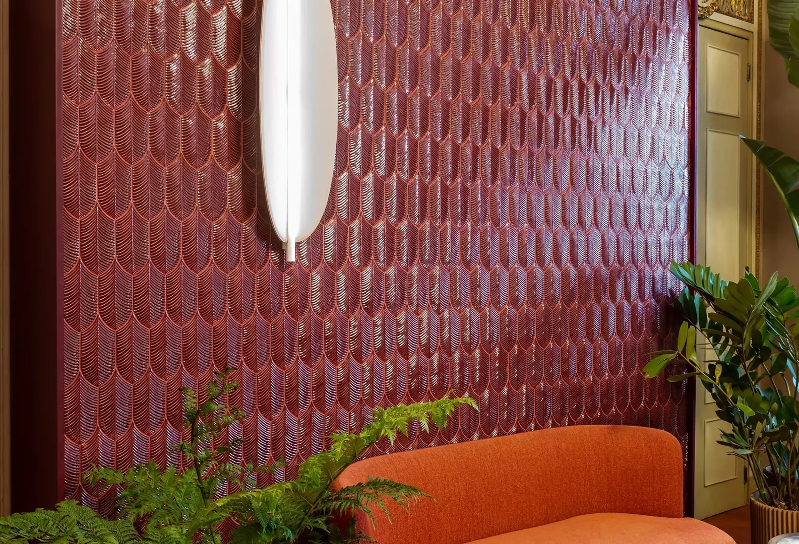 Collezione Calathea